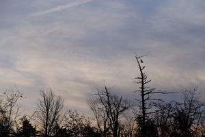 DSCF7721