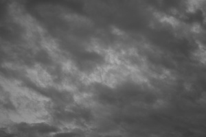 DSCF7747