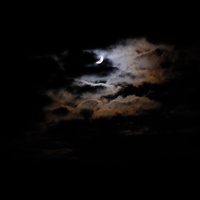 DSCF7998