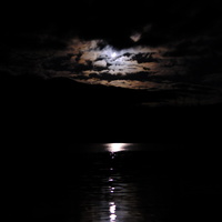 DSCF7982