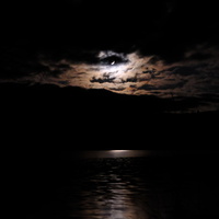 DSCF7978