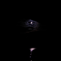 DSCF7961