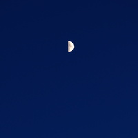 DSCF8040sm