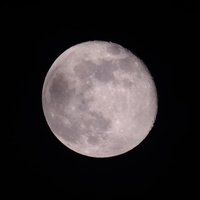 DSCF8393