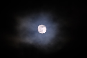 DSCF8400