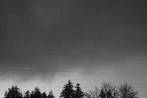 DSCF8530