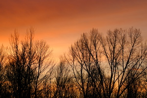 DSCF8732