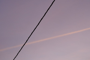 DSCF8730