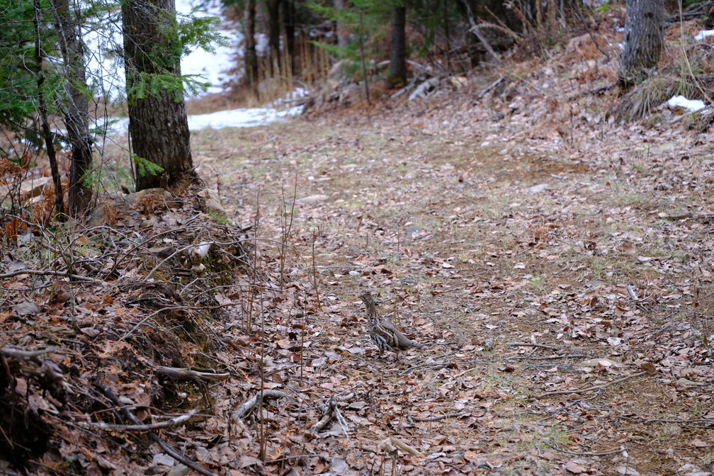 DSCF8821.JPG