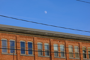 DSCF8991