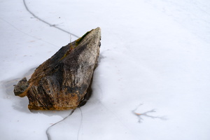 DSCF9399