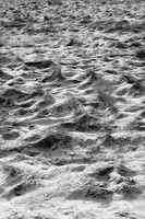 DSCF9651