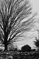 DSCF9665