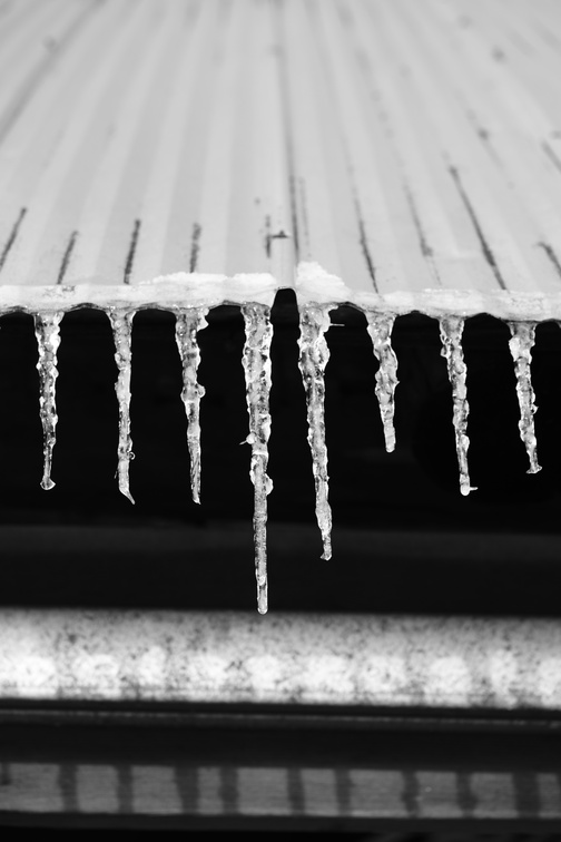 DSCF9810.JPG