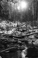 DSCF9889