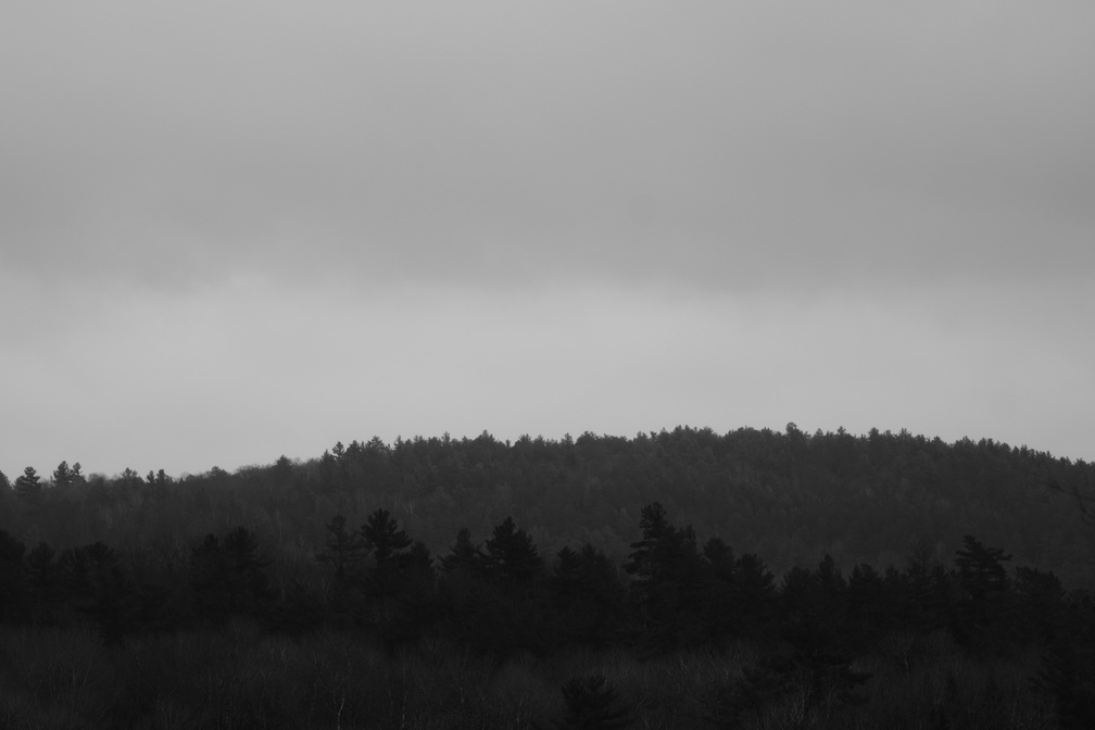 DSCF0082.JPG