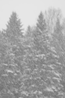 DSCF0788