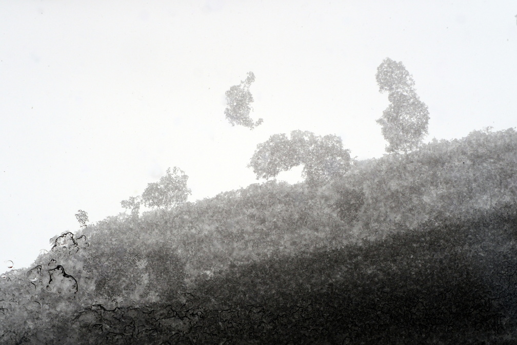 DSCF0877.JPG