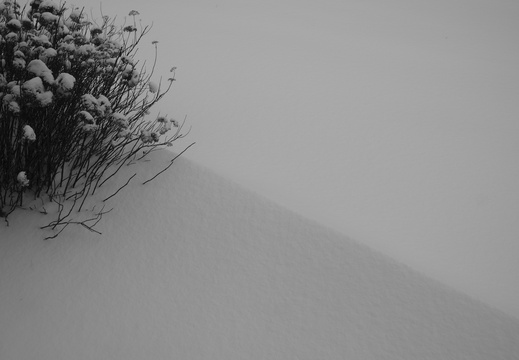 Winter - display this album Winter