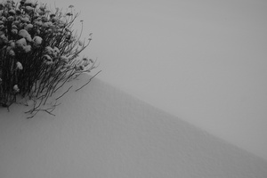 DSCF0898