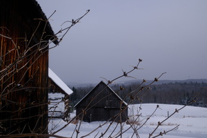 DSCF0978