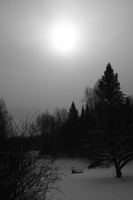 DSCF0953