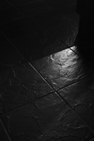 DSCF1089lev