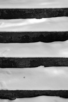 DSCF1263