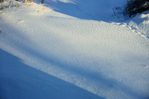 DSCF1484