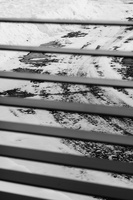 DSCF1544