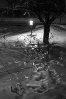 Thick coating of ice