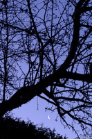 DSCF1879