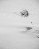 DSCF2259