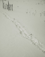DSCF2288