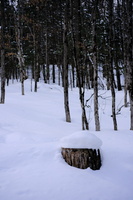 DSCF2226