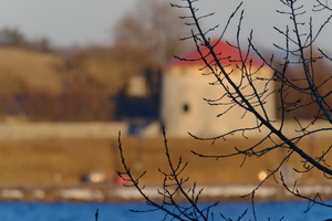 DSCF2446