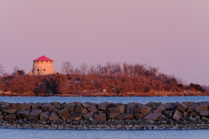 DSCF2469