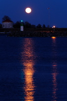 DSCF2616