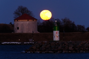 DSCF2578
