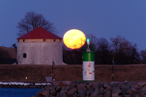 DSCF2569