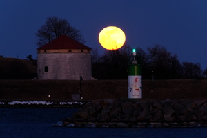 DSCF2579