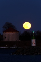 DSCF2585