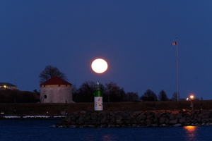 DSCF2598