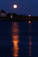 DSCF2617
