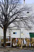 DSCF2724