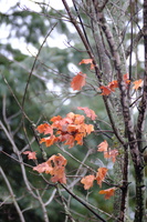 DSCF3023