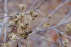 DSCF3045
