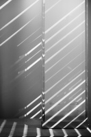 DSCF3145 01