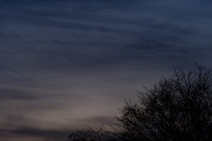 DSCF3224 01