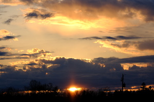 DSCF3308